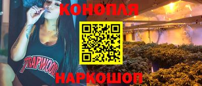 индика Ставрополь