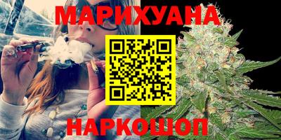 индика Ставрополь