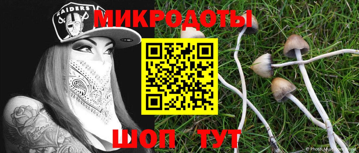 Щёлково  Псилоцибиновые грибы Psilocybe  как найти закладки  Вход с VPN  Псилоцибиновые грибы мицелий 