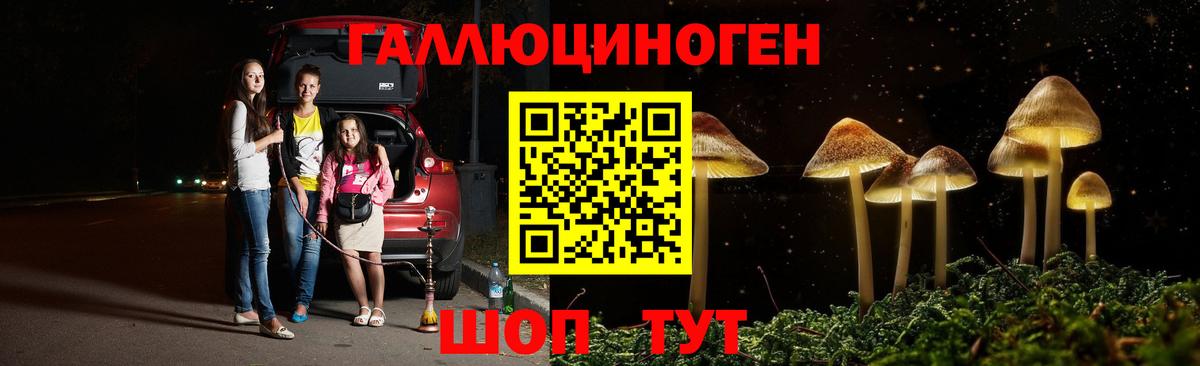 Псилоцибиновые грибы GOLDEN TEACHER Щёлково